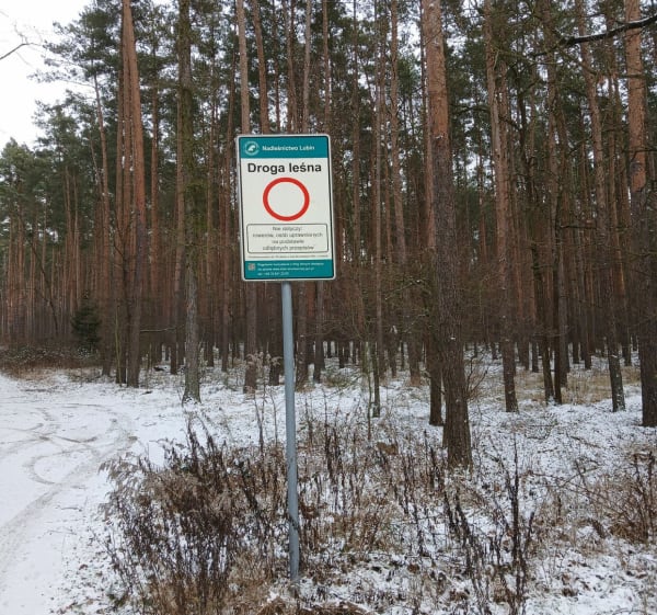 Pieszo Styczeń - Składowice - 1