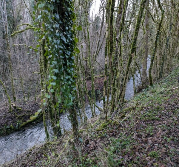 Randonnée à Saint-Vincent-Rive-d'Olt - Saint-Vincent-Rive-d'Olt - 1
