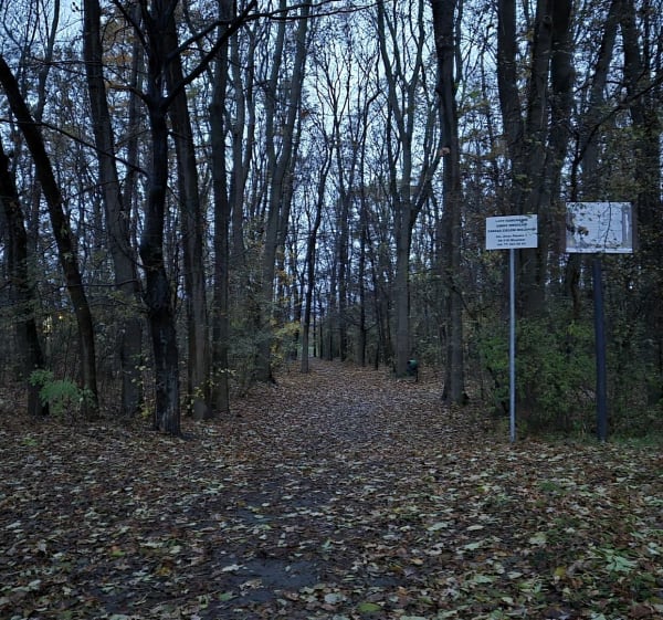 Spacer dookoła Lasku Kuźnickiego - Wrocław - 1