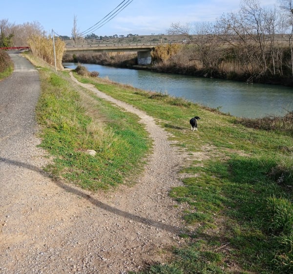 Autour de Capestang et canal du midi - Capestang - 1