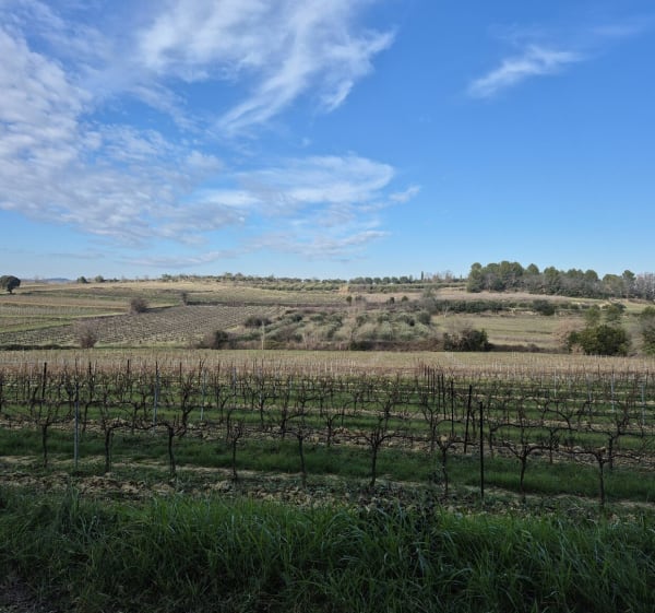 La colline autour de Bourdic - Arpaillargues-et-Aureillac - 1