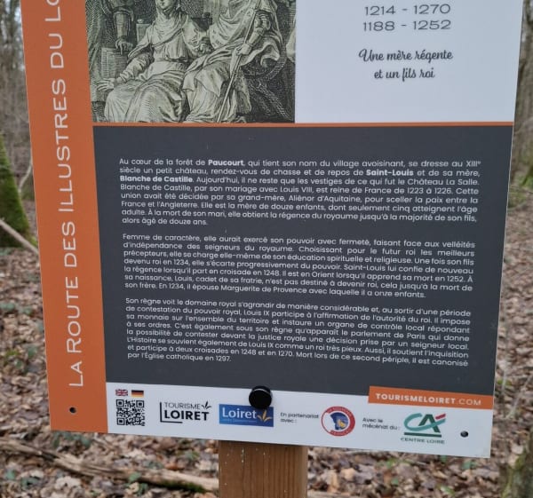 Balade forêt de Paucourt - Paucourt - 1