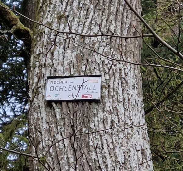 Randonnée autour de Weiterswiller - Weiterswiller - 1