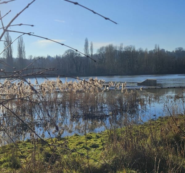 De Carrière sous Poissy au Peuple de l'Herbe - Carrières-sous-Poissy - 1