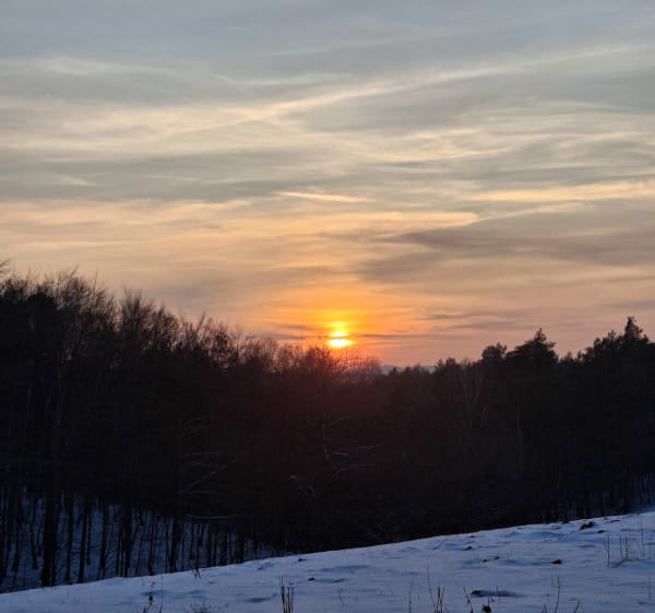 Łaś między miejscowościami Góra i Zalewo. - Góra - 1