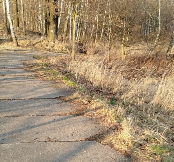 Spacerek nad Zaporą - Zabrzeg - 1