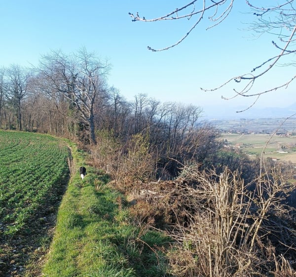 Boucle passant par les Abrets, Pressins, la Chapelle - Les Abrets en Dauphiné - 1