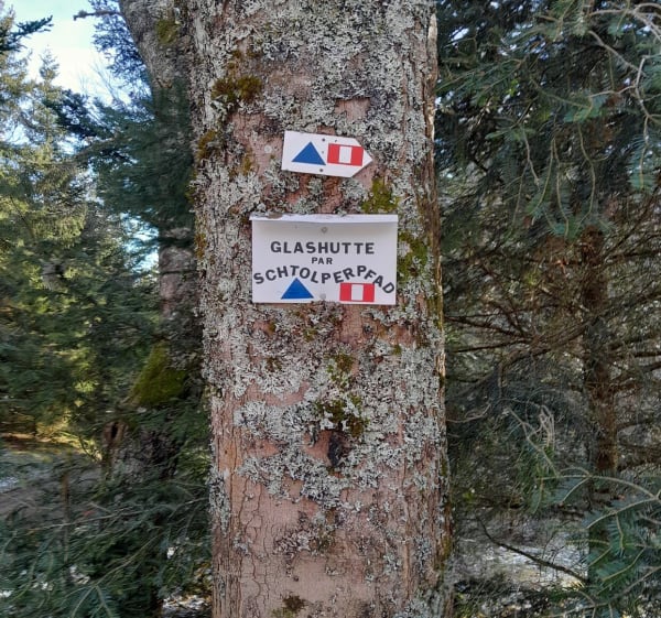 Glasshutt, Firstacker, col du Haag, Judenhut - Soultz-Haut-Rhin - 1