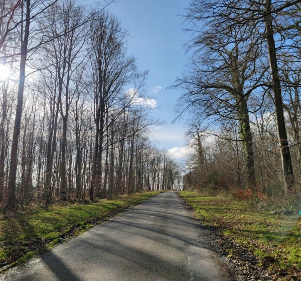 Forêt de Retz au départ de La Ferté-Milon - La Ferté-Milon - 1