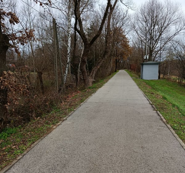 Dobczyce  park przy Rabie - Dobczyce - 1