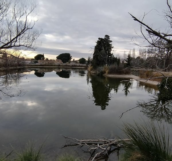 Balade sur le plateau de Gadagne - Vedène - 1