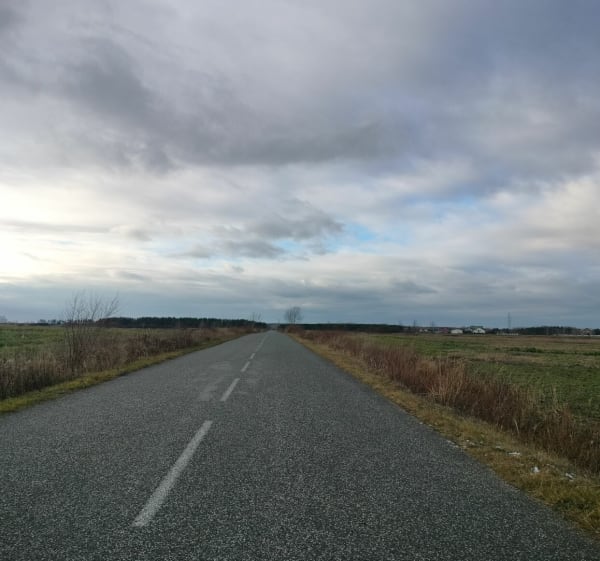 Spacer wśród zielonych terenów Oleśnicy - Oleśnica - 1