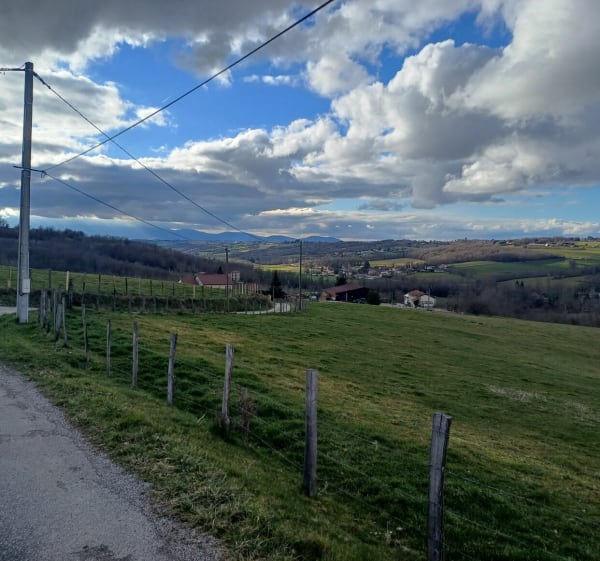 Promenade  entre campagne et village de cours et buis - Montseveroux - 1