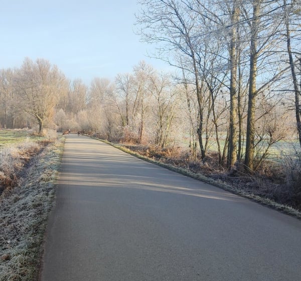 Święta na kieleckiej wsi - Strzeszkowice - 1