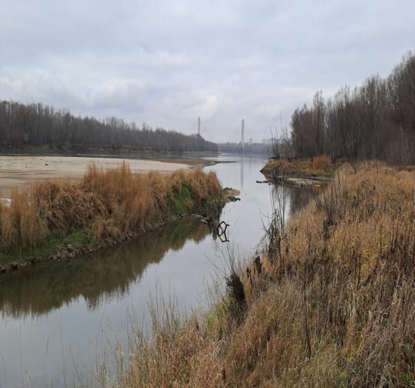 Ku Wiśle - jesienią po Kępie Wieloryb - Warszawa - 1