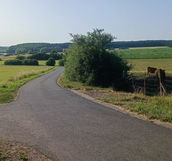 Boucle à Hambach en passant par Grundviller - Hambach - 1