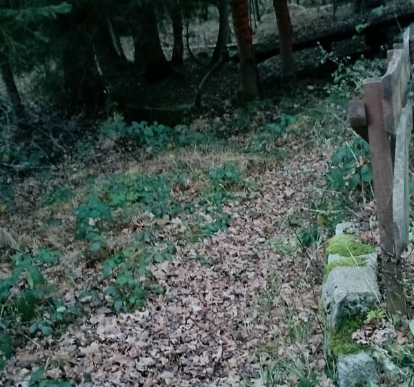 Wielki Las Lubański-spacer leśny na dawne wyrobisko kopalni - Siekierczyn - 1