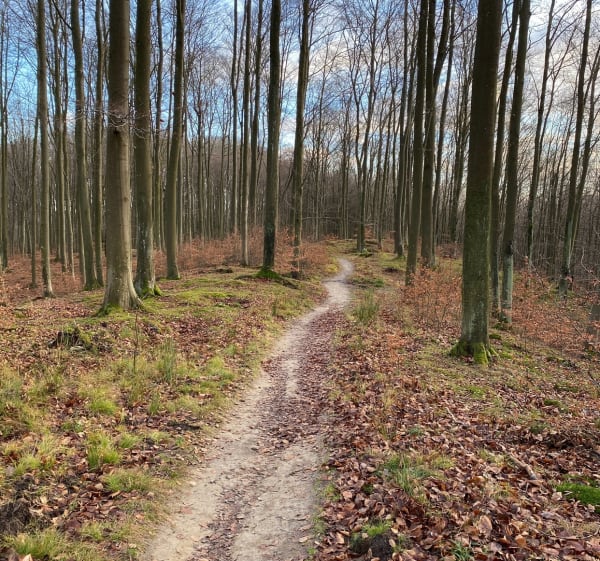 Dolina Strzyży w Trójmiejskim Parku Krajobrazowym - Gdańsk - 1