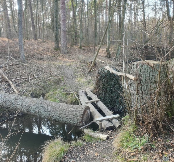 Wokół rezerwatu przyrody "Grądy nad Moszczenicą" - Kębliny - 1