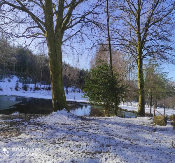 Royère-de-Vassivière - Royère-de-Vassivière - 1