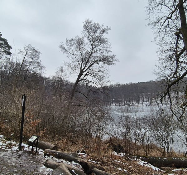 Pętla po WPNie - Krosinko - 1