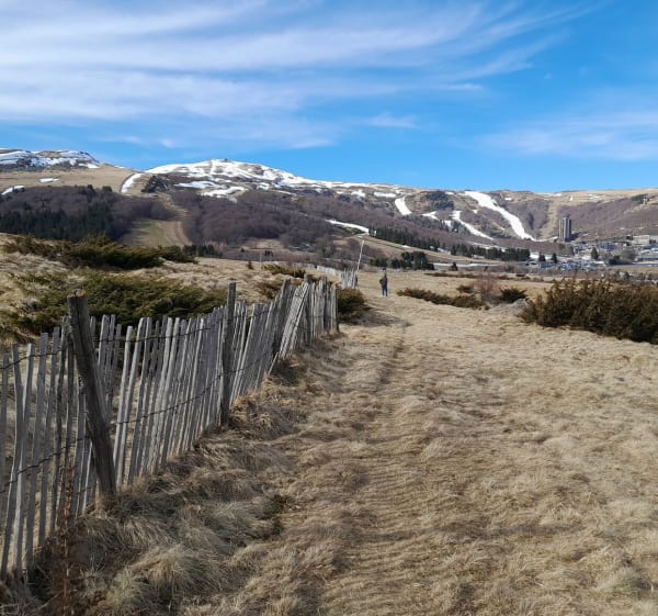 Tour du plateau Tassivière - Besse-et-Saint-Anastaise - 1