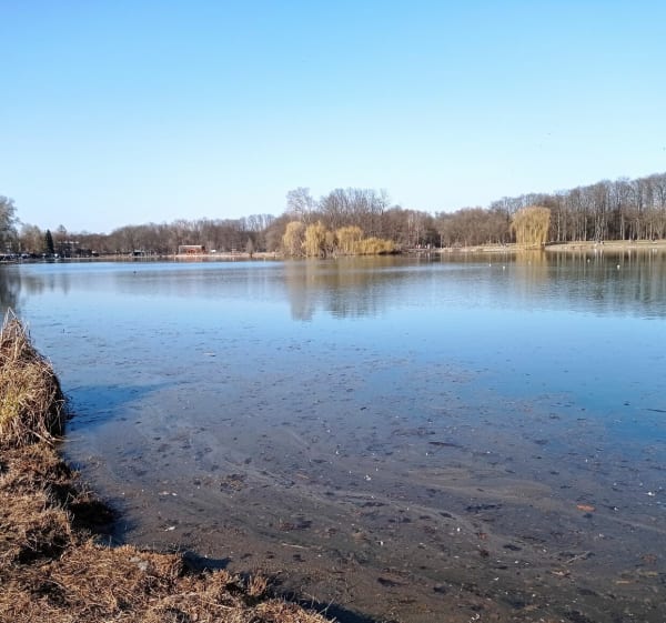 Mały Płaszów do Zalew Nowohucki - jan - 1
