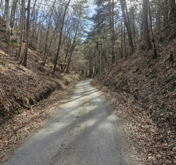 Tour de la montagne de Beaufort - Antoine - 1