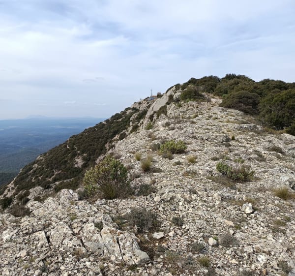 Le gros Bessillon depuis le monastère de St Joseph - Cotignac - 1