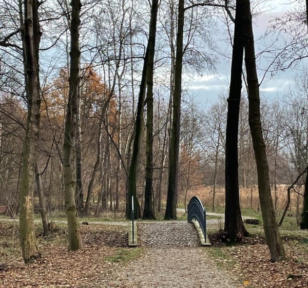 Pałac w Baranowicach - Żory - 1