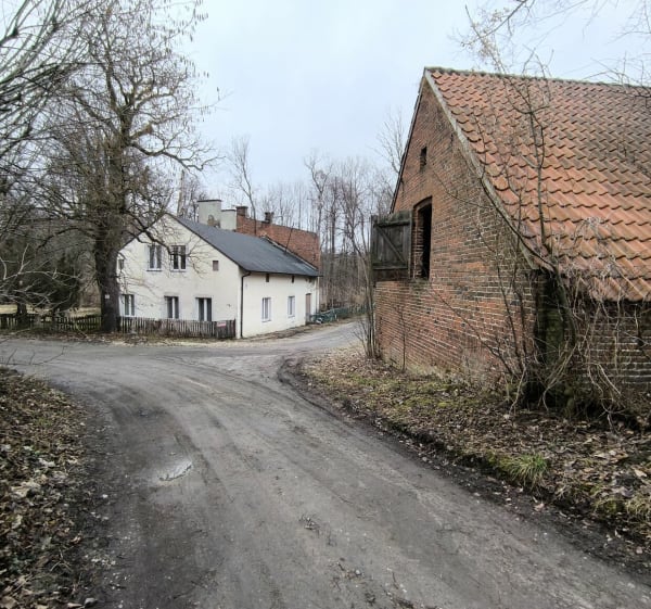 Zimowy poranek w dolinie rzeki Grabi - Talar - 1