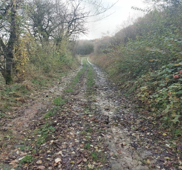 Petit tour autour de Boulay-Moselle par Momerstroff - Delphine - 1