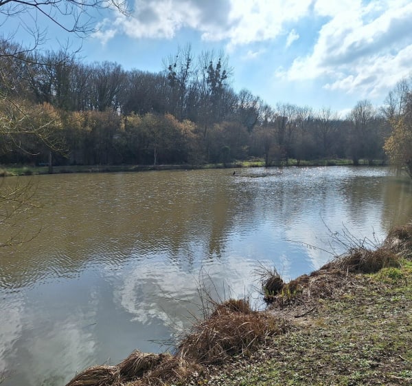 Départ et retour à l'orée de Lésigny - Lésigny - 1