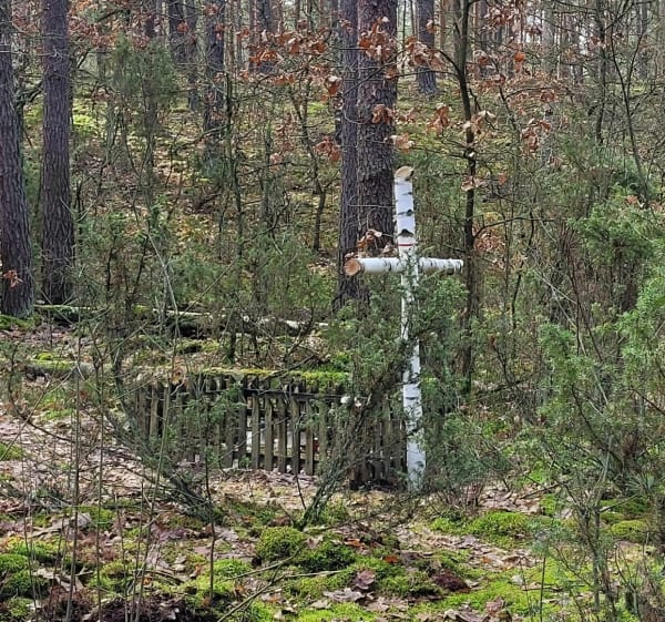 Po rezerwatach północnej części Puszczy Kampinoskiej - Stanisławów - 1