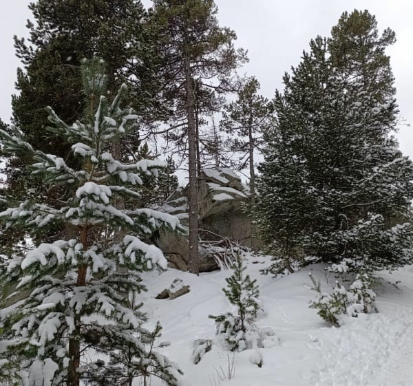 Randonnée de Font-Romeu, et Col du Calvaire - Font-Romeu-Odeillo-Via - 1