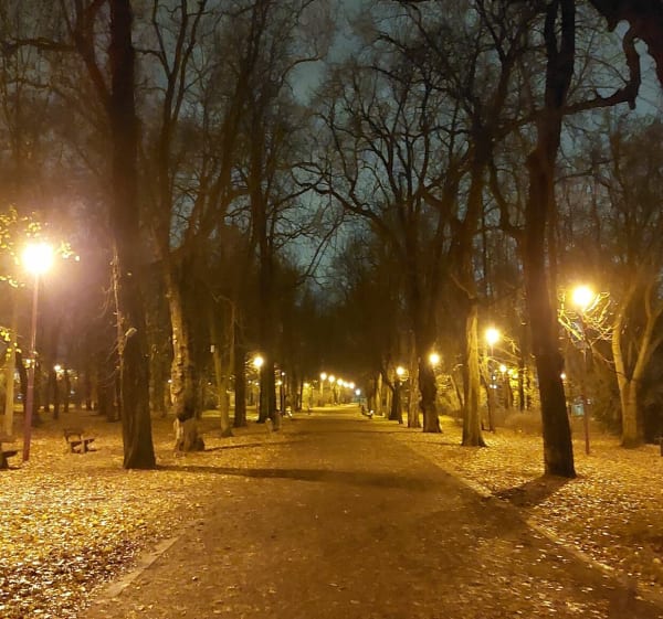 Park Generała Władysława Andersa - spacer dla rodzin z dziec - Wrocław - 1