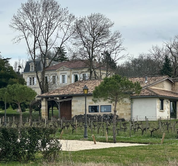 Bas du château Montlau et retour château mouchac - Moulon - 1