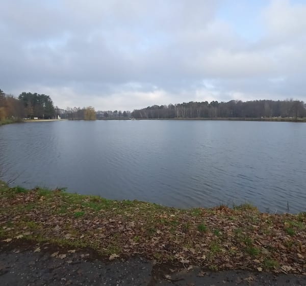 Pętla przy Gwarusiu - Suszec - 1