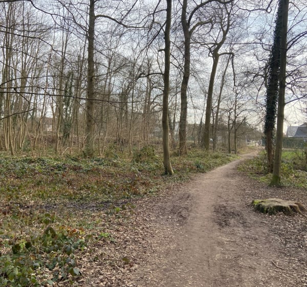 Des domaines aux forêts à l’ouest de Boulogne-Billancourt - Sèvres - 1