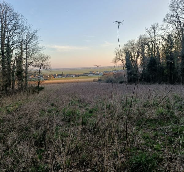 Balade dans la nature à Saint-Aubin-des-Bois - XAVIER - 1
