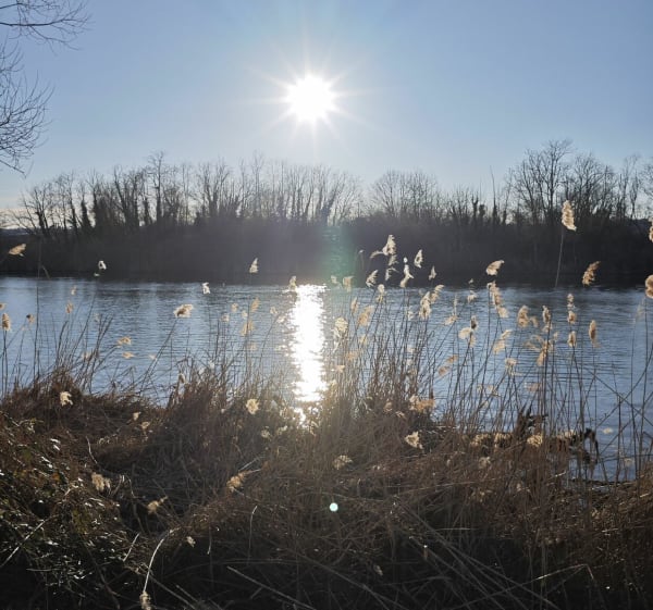 Petit tour sur les rives de Meurthe - Nancy - 1