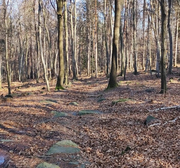 Szlak czerwonego niedźwiadka - Sobótka - 1