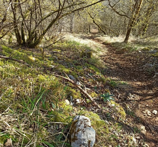 La trace des Ours autour d'Urcy - Urcy - 1