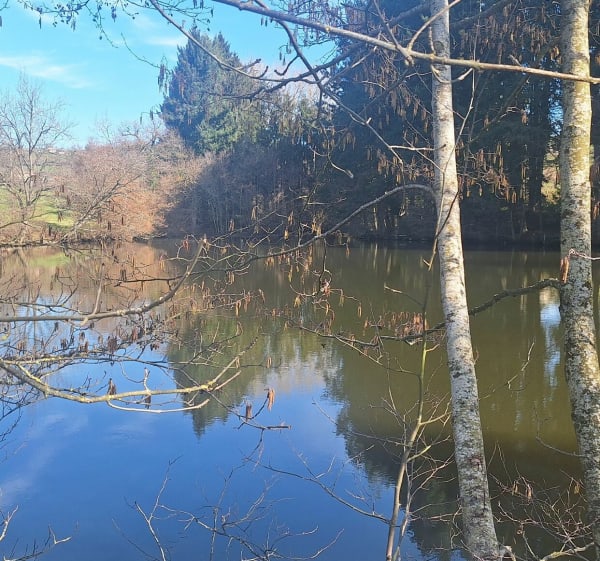 De Marnand à l'étang du Sibert - Thizy-les-Bourgs - 1