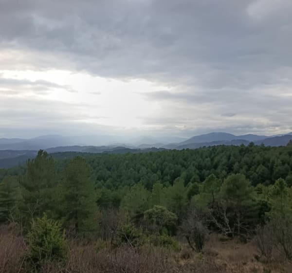 Sentier paysager des Bruchets - Vesseaux - 1