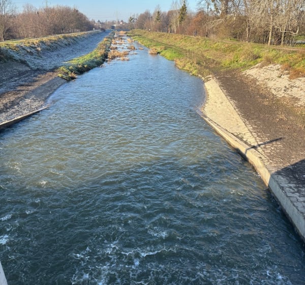 Olszówka - Wały nad Ślężą - Wrocław - 1