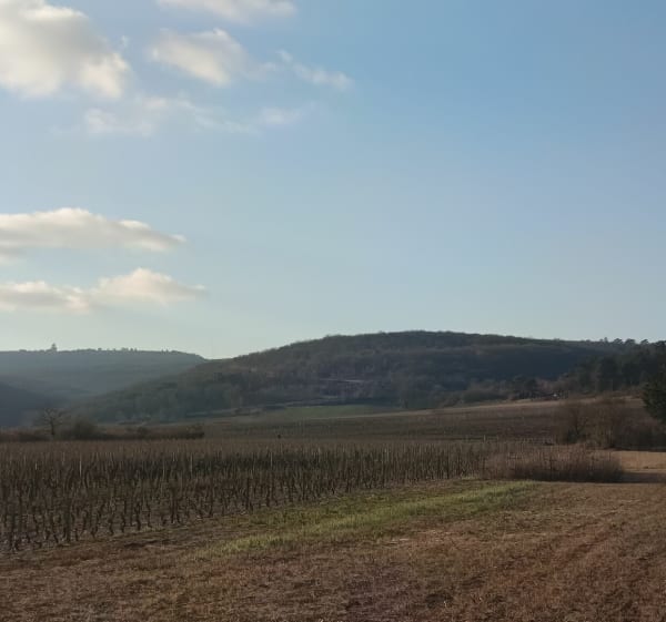 Marche à Chenôve, par Marsannay et les Portes - Chenôve - 1