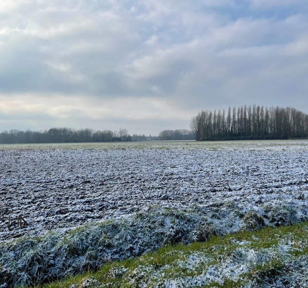 Campagne et chemin de halage à Quesnoy-sur-Deûle - Quesnoy-sur-Deûle - 1