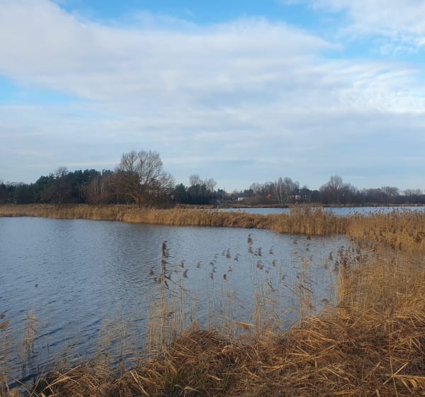 Wokół zalewu miejskiego w Ozorkowie. - Ozorków - 1
