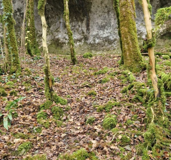 Moulin de Nanteuillet - Voulgézac - 1